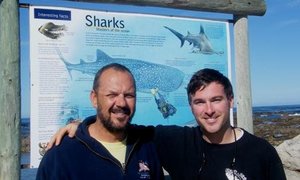 Gansbaai Haainet Inisiatief